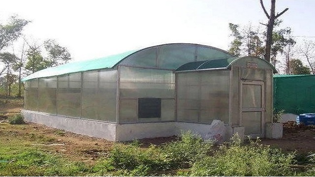 Annabhumi Mist chamber